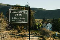 Blaauwater Farm Guest House