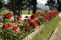 Blaauwater Farm Guest House