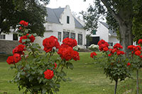 Blaauwater Farm Guest House