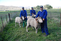 Blaauwater Farm Guest House