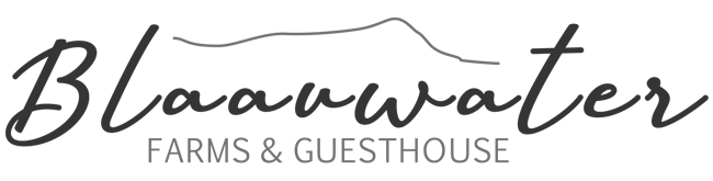 Blaauwater Guesthouse Logo
